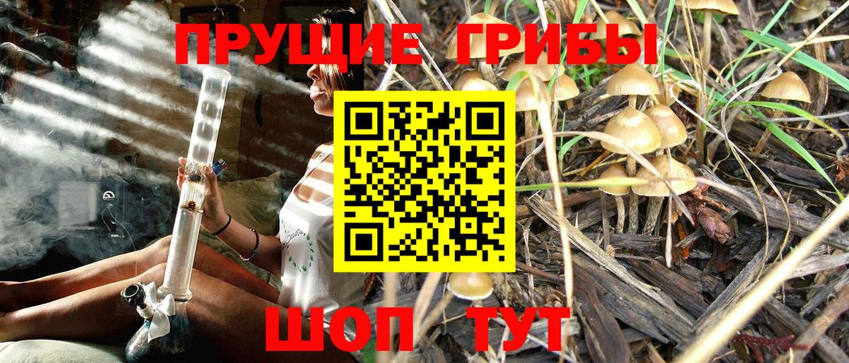 Псилоцибиновые грибы прущие грибы  Вход с VPN  Смоленск 